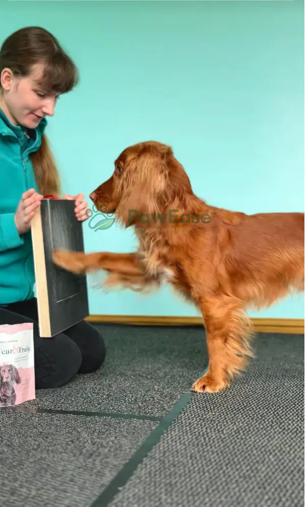 Trainer guiding dog to scratch NailEase board