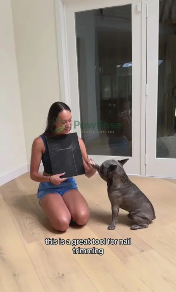 Owner demonstrating NailEase board with dog